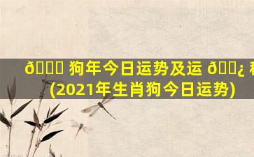 🐞 狗年今日运势及运 🌿 程(2021年生肖狗今日运势)